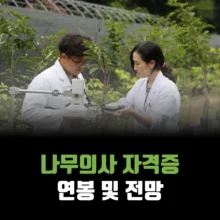 나무의사-자격증-연봉-전망