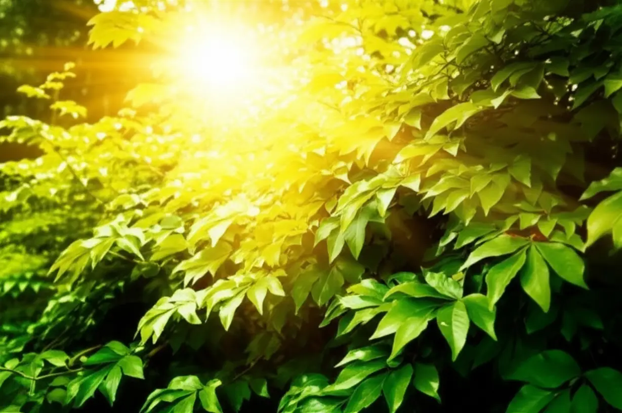 A-cute-3D-rendering-of-golden-sunlight-streaming-through-abundant,-lush-green-foliage.