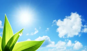 A-3D-image-depicting-a-clear-summer-sky-with-sun-and-subtle-elements-of-coolness-like-green-leaves-and-water-drops.