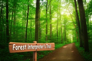 숲속의-평화로운-길과-숲해설가-안내-표지판