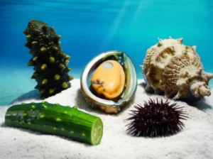 다양한-한국-해산물의-3D-일러스트레이션,-전복,-성게,-멍게-등